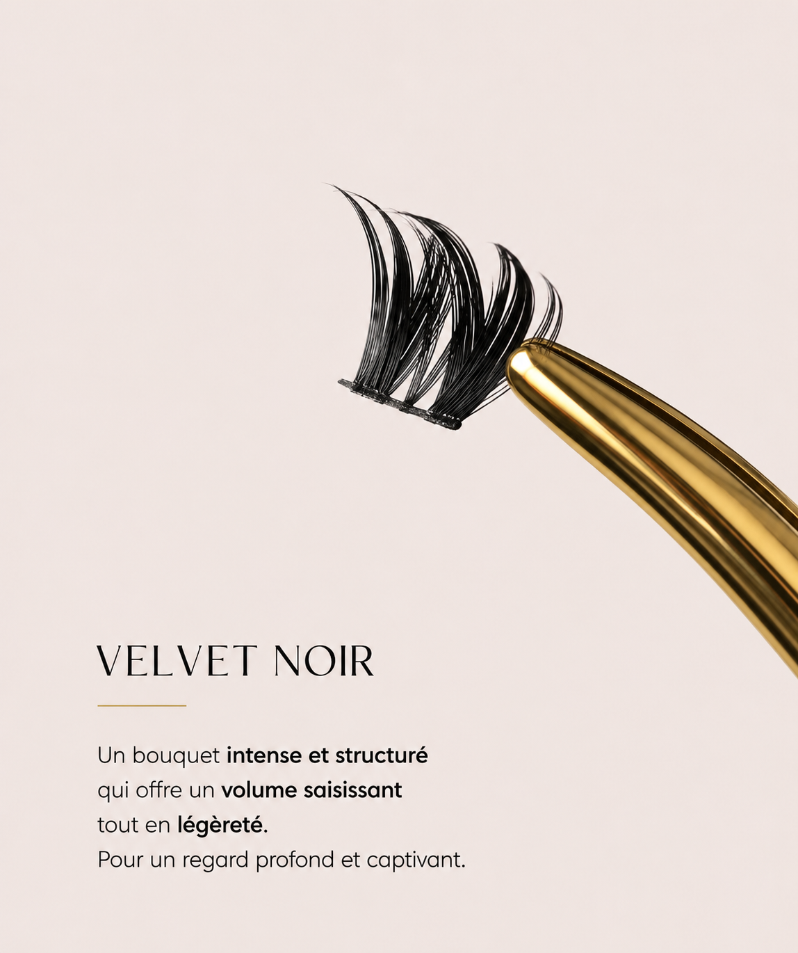 Velvet Noir